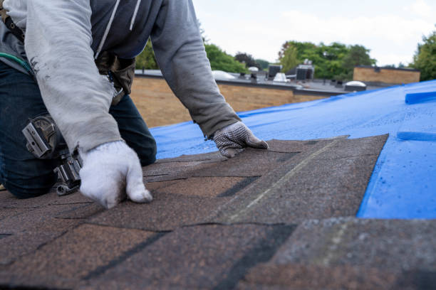 Gutter Installation and Roofing in Plainview, TN