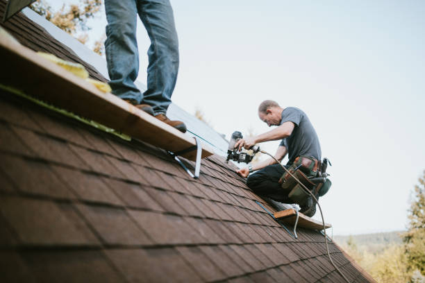 Quick and Trustworthy Emergency Roof Repair Services in Plainview, TN